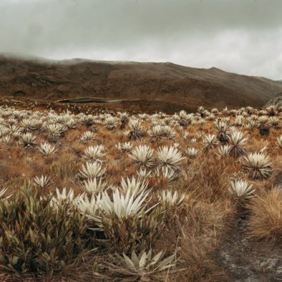 lagunas de siecha