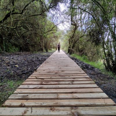 IMG_20220724_124532098_HDR