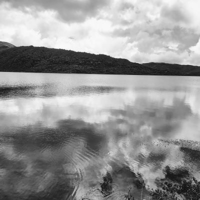 IMG_20221016_125251258_HDR-EFFECTS